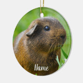 Persoonlijke bruine cavia keramisch ornament (Links)
