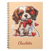 Persoonlijke Cavalier King Charles Spaniel