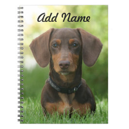 Persoonlijke chocolade en Tan Dachshund - Doxie Notitieboek
