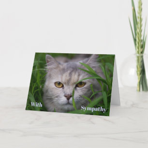 Persoonlijke condoleancekaart kat Dierbare herinne Kaart