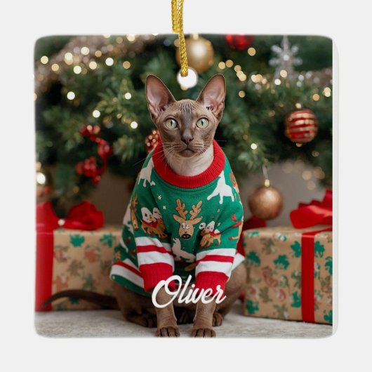 Persoonlijke Cornish Rex Kat Kerst Geschenk  Keramisch Ornament (Voorkant)