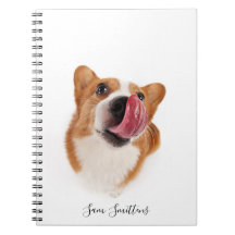 Persoonlijke / Cute Corgi-foto