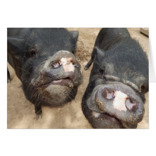 Persoonlijke dubbelzelfstandigen zwarte mini-varke (Voorkant Horizontaal)