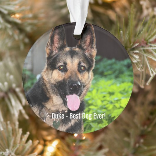 Persoonlijke Duitse Shepherd Dog Foto, naam van ho Ornament (Boom)