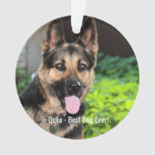 Persoonlijke Duitse Shepherd Dog Foto, naam van ho Ornament (voorkant)