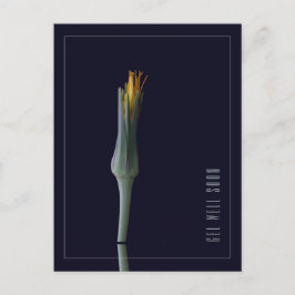 Persoonlijke Eenvoudige Elegante Bloemen Beterscha Briefkaart