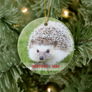 Persoonlijke Egel-fotokerstboom Keramisch Ornament