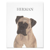 Persoonlijke Fawn Mask Boxer Foto Afdruk (Voorkant)