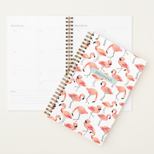 Persoonlijke Flamingo Party Planner (Display)