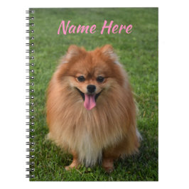 Persoonlijke fluffy Brown Pommeren Dog Notitieboek