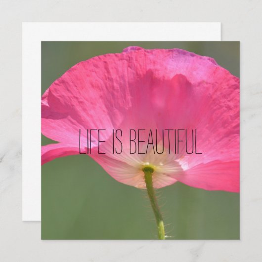 Persoonlijke foto (Voorkant / Achterkant)