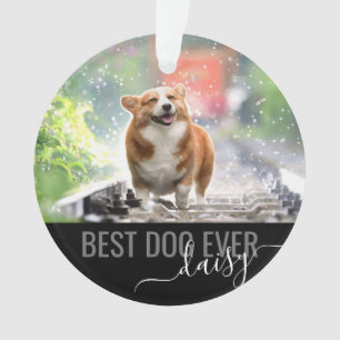 Persoonlijke foto Best Dog Ever Modern Ornament