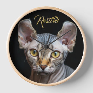 Persoonlijke foto-elf Sphynx kat portret