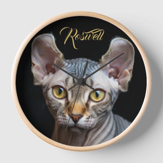 Persoonlijke foto-elf Sphynx kat portret (Voorkant)