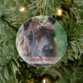 Persoonlijke foto en naam kerstboom keramisch ornament