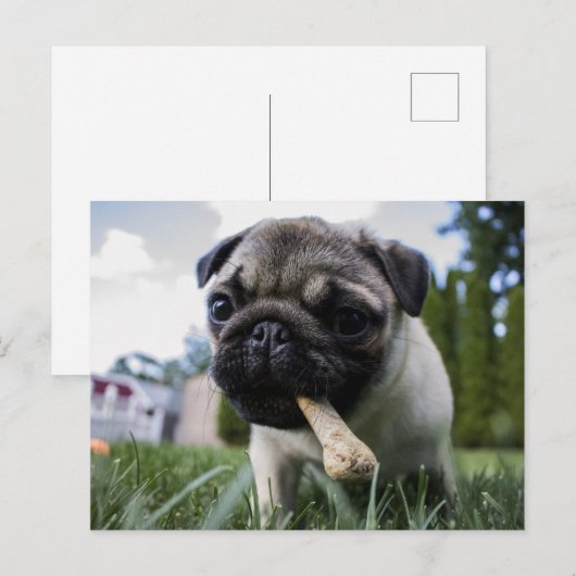 Persoonlijke foto en naam van Pug Dog Briefkaart (Voorkant / Achterkant)
