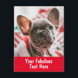 Persoonlijke foto en tekst briefkaart<br><div class="desc">Briefkaart voor persoonlijke foto's en tekst</div>