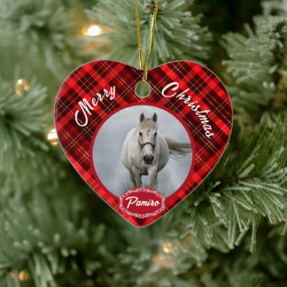 Persoonlijke foto foto foto Pet Ornament
