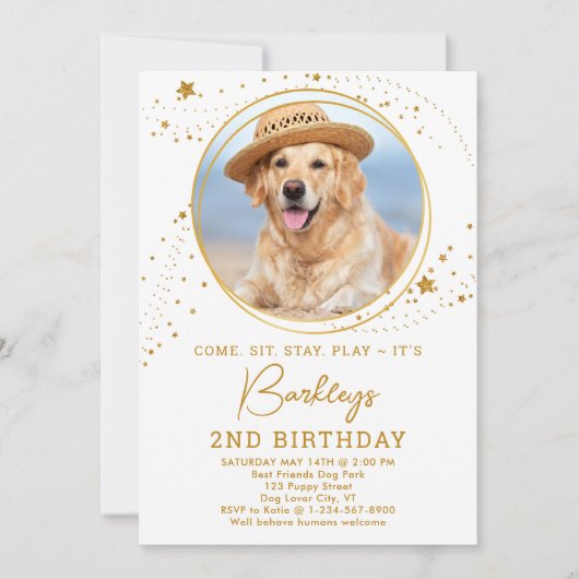Persoonlijke foto Gold Stars Dog Birthday Kaart (Voorkant)