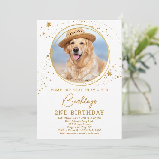 Persoonlijke foto Gold Stars Dog Birthday Kaart (Staand voorkant)