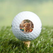 Persoonlijke foto golfbal professionele afwerking golfballen (Insitu Shirt)
