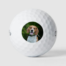 Persoonlijke foto hond golfballen
