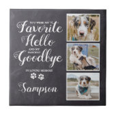 Persoonlijke foto-inkollage van Pet Memorial Tegeltje (Voorkant)