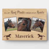 Persoonlijke foto-inkuilpaard Memorial Fotoplaat (voorkant)