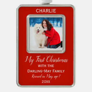 Persoonlijke foto kerstcadeau voor honden verzilverd omlijst ornament
