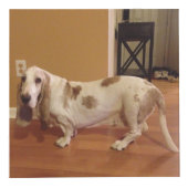 Persoonlijke foto-kubusdoos in twee formaten kubus (Voorkant)