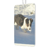 Persoonlijke foto-luchtverfrisser luchtverfrisser (Links)