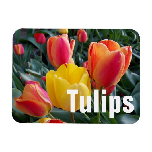 Persoonlijke foto magneet (Horizontaal)