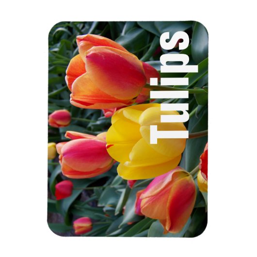 Persoonlijke foto magneet (Verticaal)