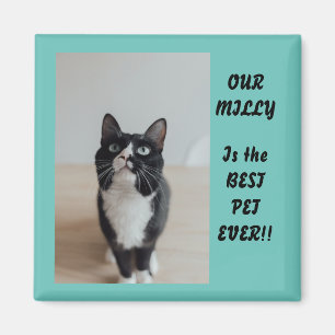 Persoonlijke foto Magnet Best Pet Ever