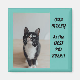 Persoonlijke foto Magnet Best Pet Ever
