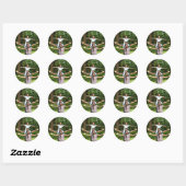 Persoonlijke foto ronde sticker  (Vel)