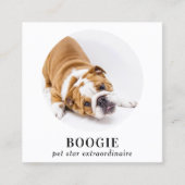 Persoonlijke foto Sociale media Dog Pet Influencer Vierkante Visitekaartje (Voorkant)