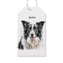 Persoonlijke foto van Border Collie huisdier