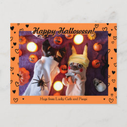 Persoonlijke foto van Cute Halloween Black Briefkaart