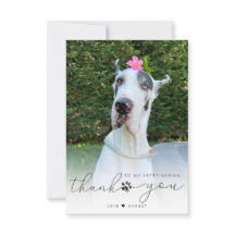 Persoonlijke foto van de dierenarts Pet Care Pet