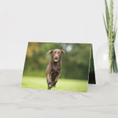 Persoonlijke foto van Dog Kaart (Achterkant)