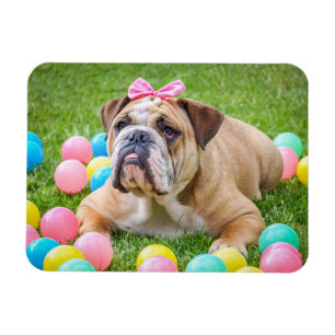 Persoonlijke foto van Dog Pet Magnet Magneet