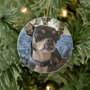 Persoonlijke foto van Doggie Keramisch Ornament