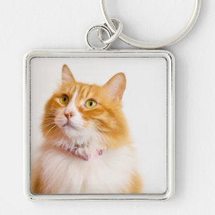 Persoonlijke foto van een oranje kat met eigen naa sleutelhanger