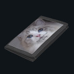 Persoonlijke foto van foto's met beste ragdoll ooi drievoud portemonnee<br><div class="desc">Dit ontwerp is voorzien van een mooie, blauwachtige Ragdoll katfoto en zwarte typografie. Je kunt de foto vervangen door een afbeelding van je eigen kat of katje. De steekproeftekst - Beste Ragdoll ooit - kan aan woorden van uw eigen keus worden uitgegeven en een Naam kan ook worden verstrekt. Op...</div>