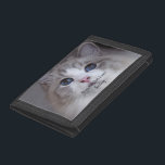 Persoonlijke foto van foto's met beste ragdoll ooi drievoud portemonnee<br><div class="desc">Dit ontwerp is voorzien van een mooie, blauwachtige Ragdoll katfoto en zwarte typografie. Je kunt de foto vervangen door een afbeelding van je eigen kat of katje. De steekproeftekst - Beste Ragdoll ooit - kan aan woorden van uw eigen keus worden uitgegeven en een Naam kan ook worden verstrekt. Op...</div>