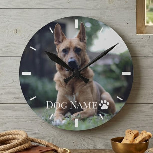 Persoonlijke foto van hond of puppy Naam Poot Vint Ronde Klok