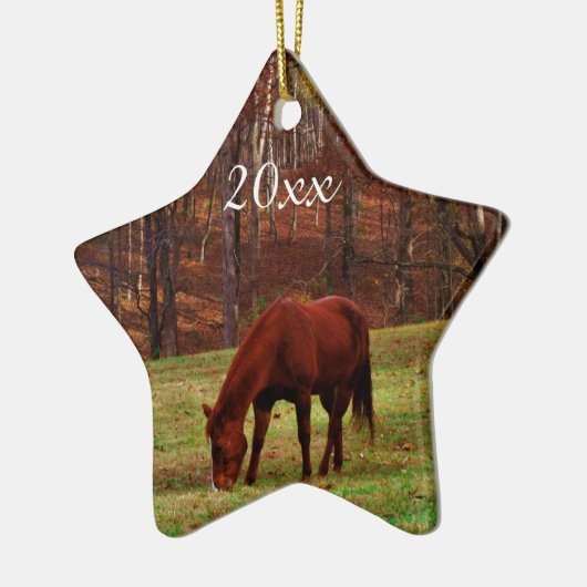 Persoonlijke foto van huisdier of paard kerstfeest keramisch ornament (Links)