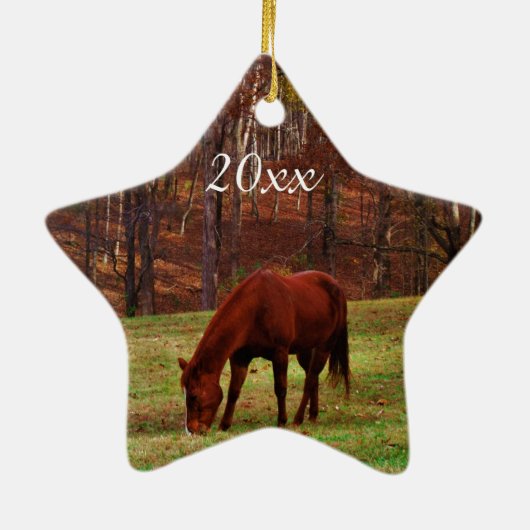 Persoonlijke foto van huisdier of paard kerstfeest keramisch ornament (Achterkant)