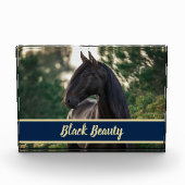 /persoonlijke foto van paarden met Show naam (Voorkant)